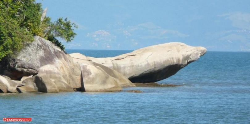 Apto Lindo E Aconchegante Com Piscina 202A Caraguatatuba Kültér fotó